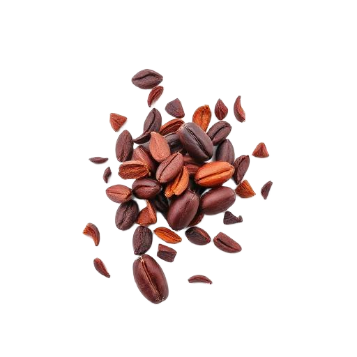 Cacao Cacao