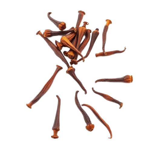Cloves Cloves