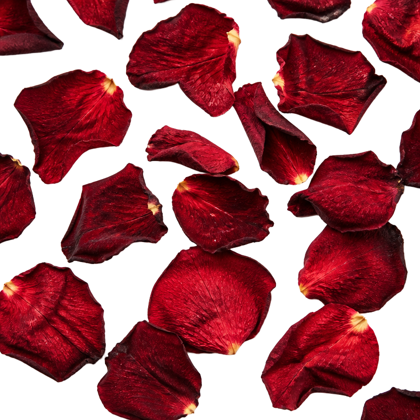 Rose Petals Rose Petals